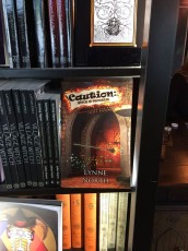 Caution-on-sale-at-Witchcraft-Museum